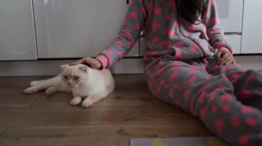 Evcil bir hayvanla ev hayatı. Sahibi olan kedi evde mutfakta oturuyor..