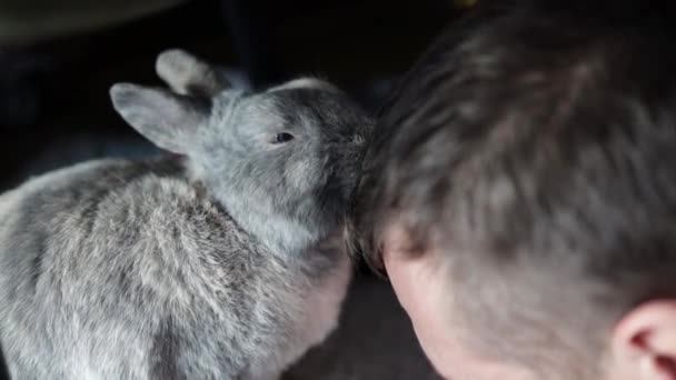 Ein Kaninchen Leckt Einem Mann Hause Den Kopf — Stockvideo