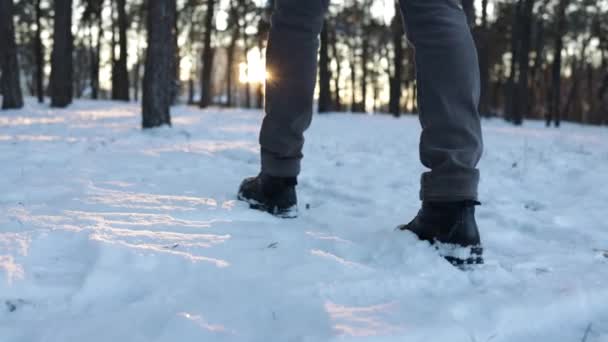 Backpacker Hing Keresztül Havas Erdő Padló Varázslatos Havas Erdő Télen — Stock videók