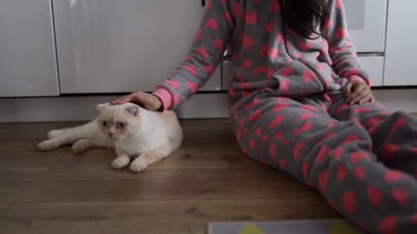 Hausleben Mit Einem Haustier Die Katze Mit Ihrem Besitzer Sitzt — Stockvideo