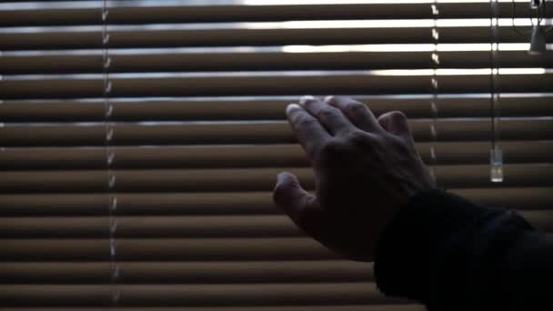 Hand Pulling Window Blind Peek Watching Office House Room Staying — Vídeos de Stock