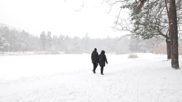Emberek Sétálnak Hóban Élvezik Természetet Erős Hóesés Egy Vad Parkban — Stock videók