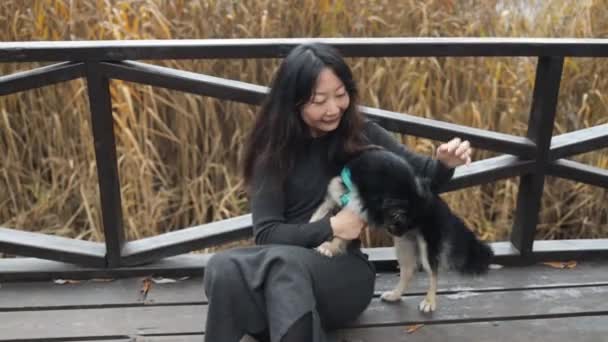 Cachorrinho Bernese Mountain Dog Com Seu Dono Sentado Ponte Madeira — Vídeo de Stock