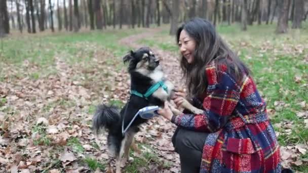 Dog Puppy His Owner Walking Forest Park Autumn — Vídeo de Stock