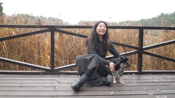 Dog Puppy His Owner Walking Forest Park Autumn — Vídeo de Stock