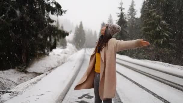 Happy Young Asian Woman Walking Wintery Nature Falling Snow — Video
