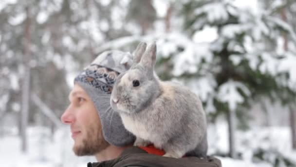 Young Man Rabbit Outdoor Gray Fluffy Bunny Sits Shoulder His — Video Stock