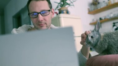 Handsome young man sitting at table with a grey bunny and working in his home office.
