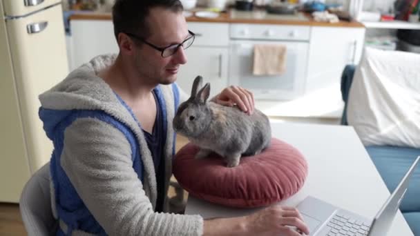 Handsome Young Man Sitting Table Grey Bunny Working His Home — Stok video