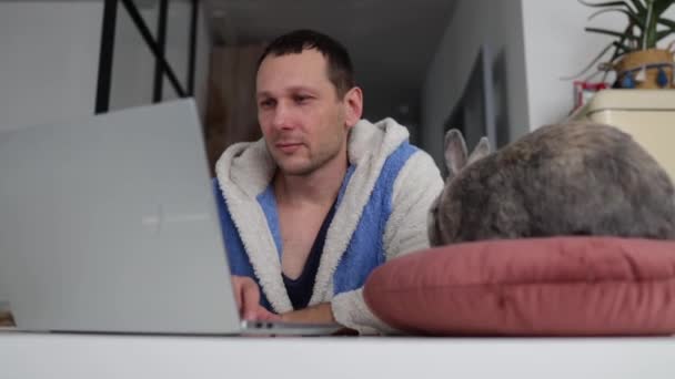 Schöner Junger Mann Sitzt Mit Einem Grauen Hasen Tisch Und — Stockvideo