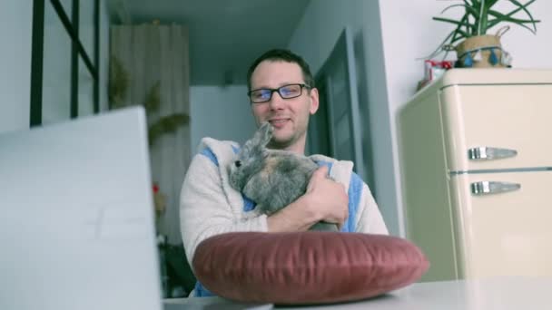 Handsome Young Man Sitting Table Grey Bunny Working His Home — Stock videók