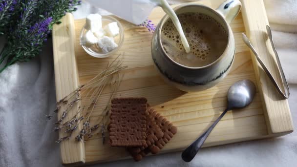 Woman Hand Pours Milk Hot Cocoa Cup Adds Marshmallow Delicious — Wideo stockowe