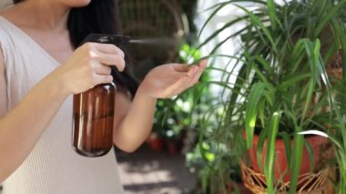 Asian Woman hand spray on leave plants in the morning at home using a spray bottle watering houseplants Plant care concept