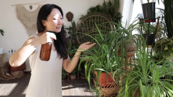 Asian Woman Hand Spray Leave Plants Morning Home Using Spray — Vídeos de Stock