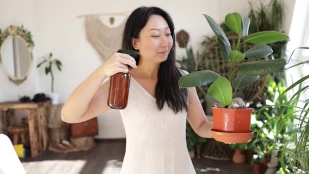 Asian Woman Hand Spray Leave Plants Morning Home Using Spray — стоковое видео