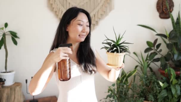 Smiling Asian Woman Holding Watering Cactus Plant Home — Vídeo de Stock