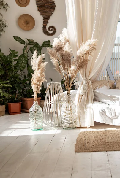 stock image composition of a bouquet of dried flowers in glass bottles on floor. Scandinavian style with dried flowers in cozy room.