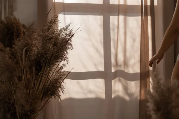 Fluttering Beige Tulle Window Morning Sun Illuminates Room Overlay Shadow — Fotografia de Stock