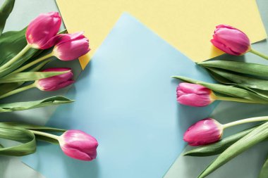 Pembe boş kağıt listesi ve pembe lale çiçekleri olan pembe arka plan manzaralı bahar modeli. Tasarım için güzel bir çiçek kompozisyonu. Düz yatıyordu