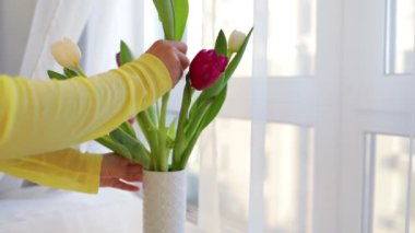 Kadın lalelere çiçek getirir ve beyaz masaya bir vazo koyar. Kadınlar ve anneler günü, romantik konsept.. 