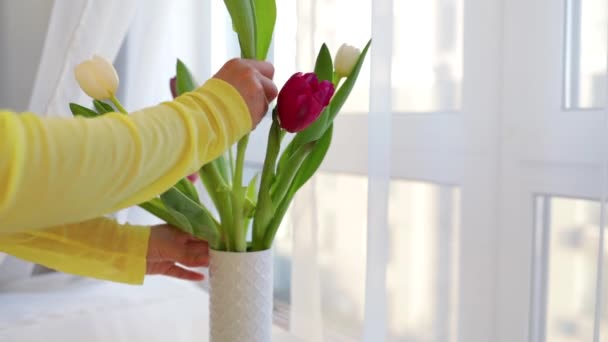 女人带着郁金香花 把一个花瓶放在白桌子上 母亲节 浪漫的概念 — 图库视频影像
