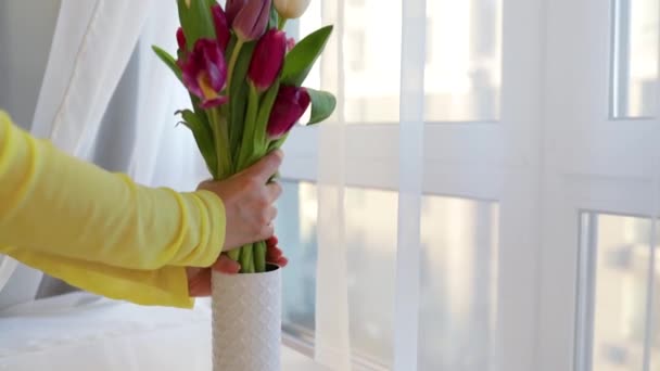 Žena Dává Vázy Spoustu Krásných Čerstvých Přírodních Tulipánů Okna Happy — Stock video