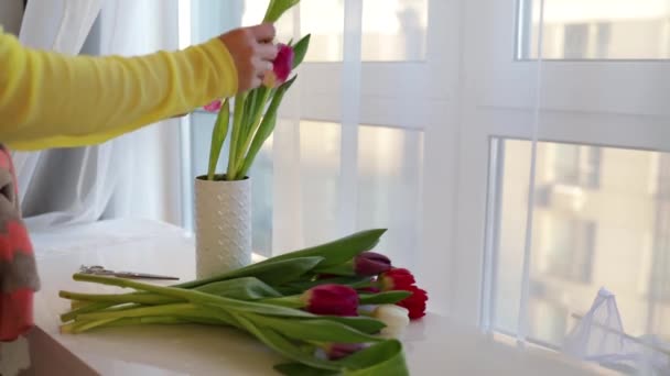 Wanita Membawa Bunga Tulip Dan Menempatkan Dalam Vas Atas Meja — Stok Video