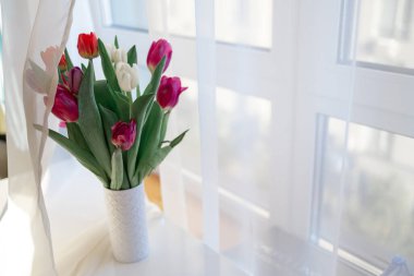 Beyaz pencere eşiğinde vazodaki güzel laleler
