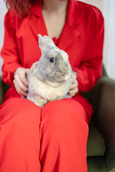 Young Woman Adorable Rabbit Indoors Closeup Lovely Pet — Stock Photo, Image