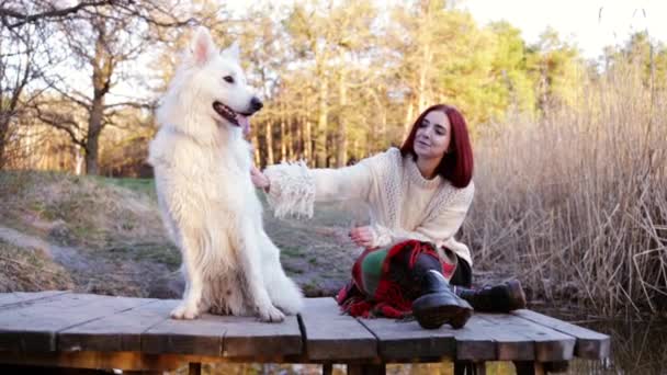 Fêmea Desfrutando Belo Pôr Sol Pet Lindo Cão Feliz Livre — Vídeo de Stock