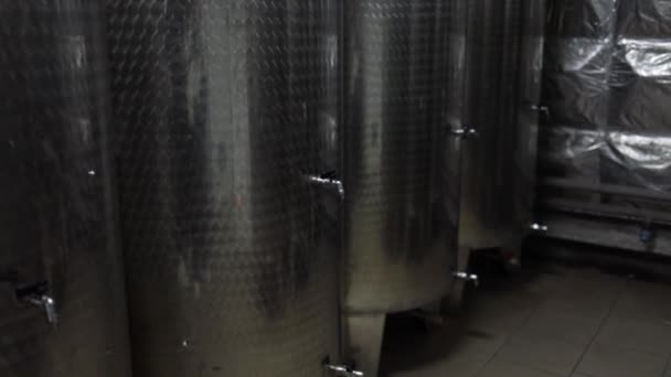 Wine Cellar Storage Room Wine Bottles Barrels Old Wine Dark — Stock Video