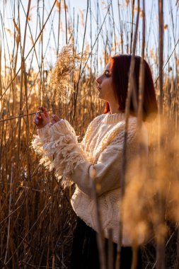 Beyaz yün kazaklı zarif genç kadın, sonbahar parkında sazlıkların arkasında poz veriyor. Sonbahar modası ve güzelliği.