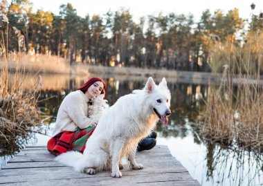 Samoyed köpeği ile parkta tahta köprüde rahatlayan bir kadın. Mutluluk ve arkadaşlık. evcil hayvan ve kadın.