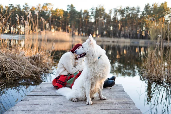 Femme Relaxante Avec Son Chien Samoyed Animal Compagnie Amical Sur — Photo