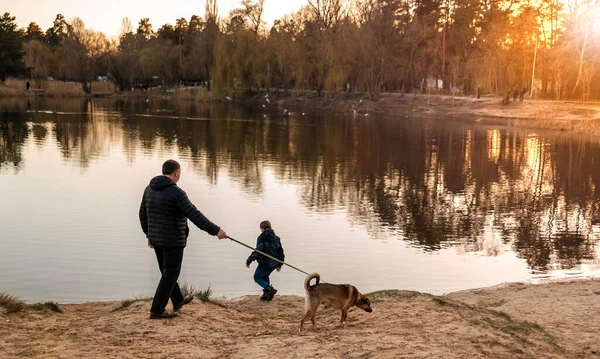 Pai Silhueta Com Filho Cão Contra Lago Durante Pôr Sol — Fotografia de Stock
