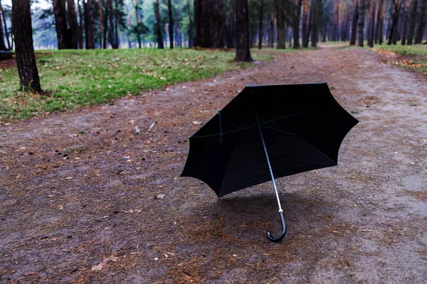 Esős Évszak Őszi Hangulat Fekete Esernyő Egy Rothadó Fatörzsön Sötét — Stock Fotó
