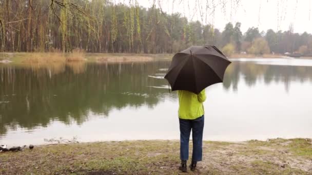 后视镜看到一个女人拿着一把黑色的雨伞站在湖中 鸭子在游泳 — 图库视频影像