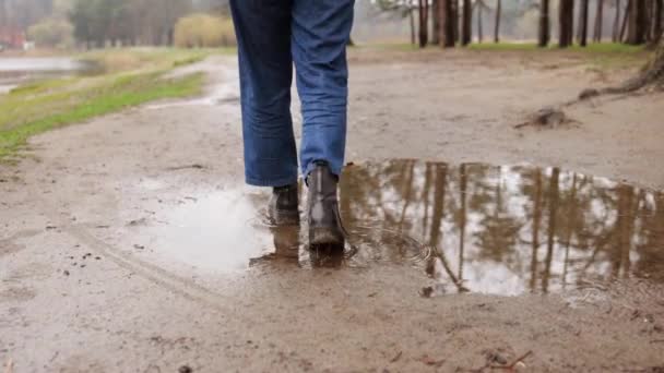 Samice Chodzą Lesie Deszczowe Dni Koncepcja Podróży Zbliżenie Kobiece Nogi — Wideo stockowe