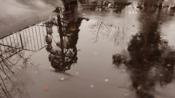 Çatı Yolundaki Yağmur Birikintilerinde Şemsiyeli Yürüyen Bir Kişinin Gölge Yansıması — Stok video