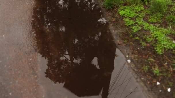 Skuggreflektion Vandrande Person Med Paraply Genom Regnpölar Trottoaren — Stockvideo