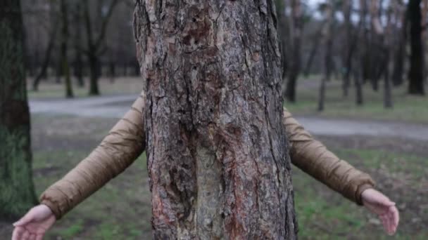Amante Natureza Abraçando Árvore Tronco Floresta Florestal Conceito Pessoas Amam — Vídeo de Stock