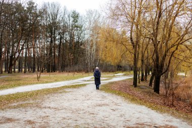 Sonbahar parkında ağaçların arasında yaprak üzerinde yürüyen yalnız bir kadın. Açık hava yürüyüşü kavramı.
