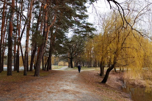 Stock image lonely woman walking on fallen leaves among trees in autumn park. outdoors walking concept.