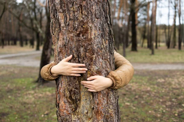 Amante Della Natura Che Abbraccia Albero Del Tronco Nella Foresta — Foto Stock