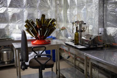 Şaraphane endüstrisi. Şarap şişeleri ağırdır ve kurudur. Bira fabrikasından barına kadar. Bira fabrikasında kuruyan şarap şişeleri..