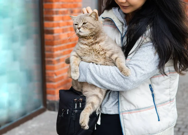 Kadın Sokakta Dinlenirken Kediye Sarılıyor Kollarında Kedisiyle Ceketli Mutlu Bir — Stok fotoğraf