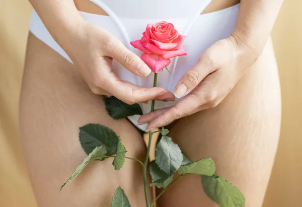 性感的年轻女子拿着玫瑰在她的内裤附近 特写镜头 色情概念 — 图库照片