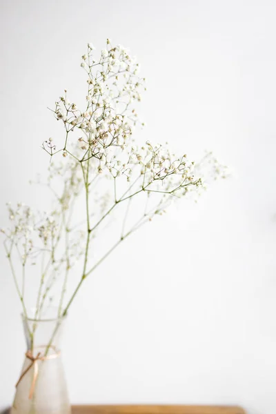 Minimalistic composition of dried flowers. vase with white flowers on a wall background.