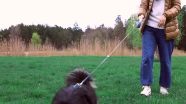 Parkta sahibinin ayaklarının arkasında yürüyen sevimli, genç bir köpek, ağır çekimde. Mutlu iki kişi çimenli sahilde yürüyor.