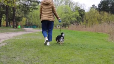 Parkta sahibinin ayaklarının arkasında yürüyen sevimli, genç bir köpek, ağır çekimde. Mutlu iki kişi çimenli sahilde yürüyor.